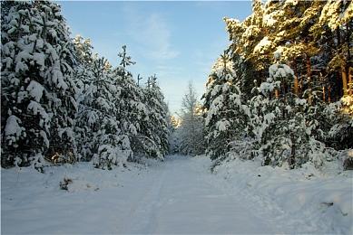 曼巴登场：《NBA 2K24》现已在全球正式发售